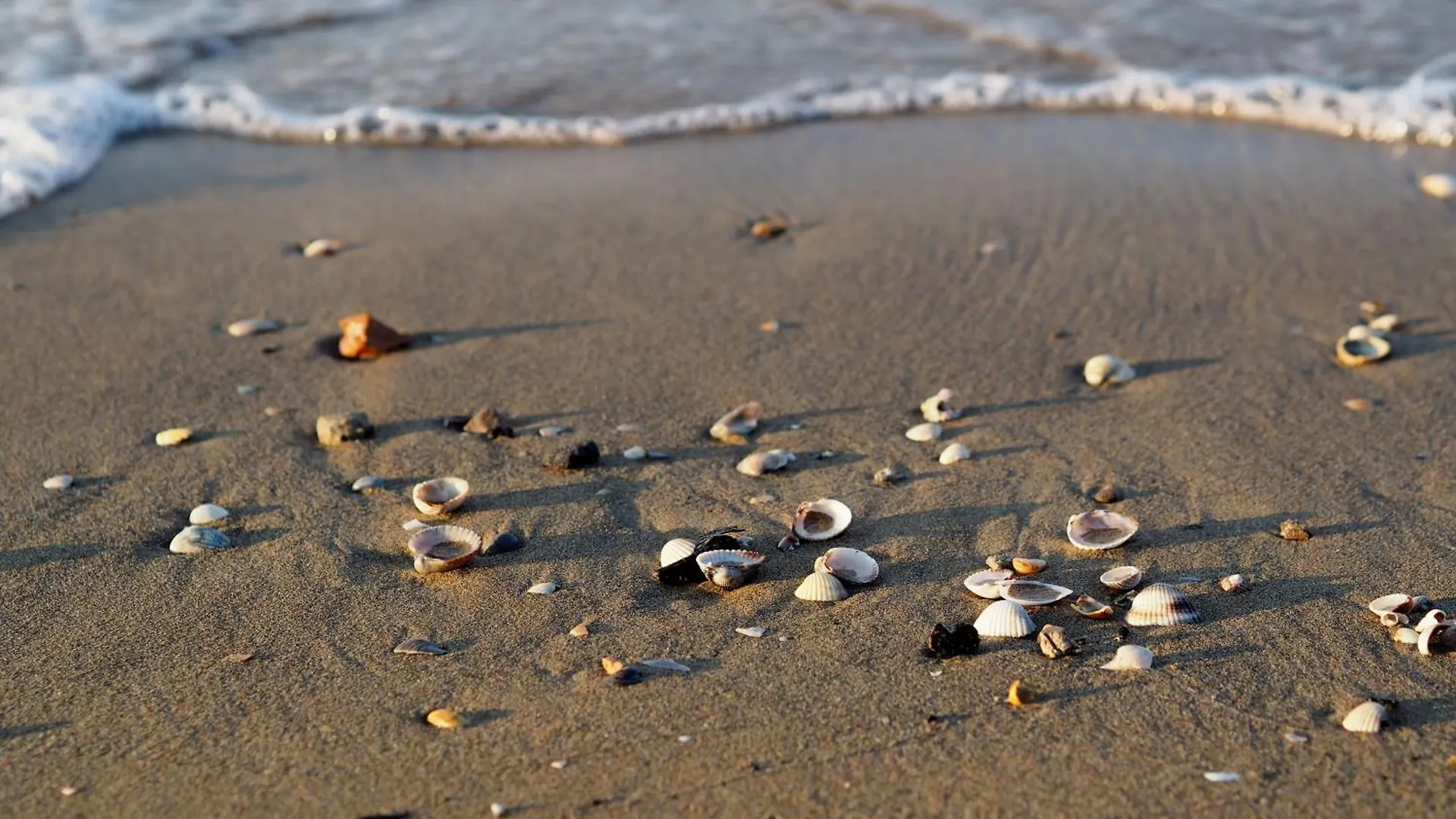 Space And Comfort With Private Beach Place Bibione Italy